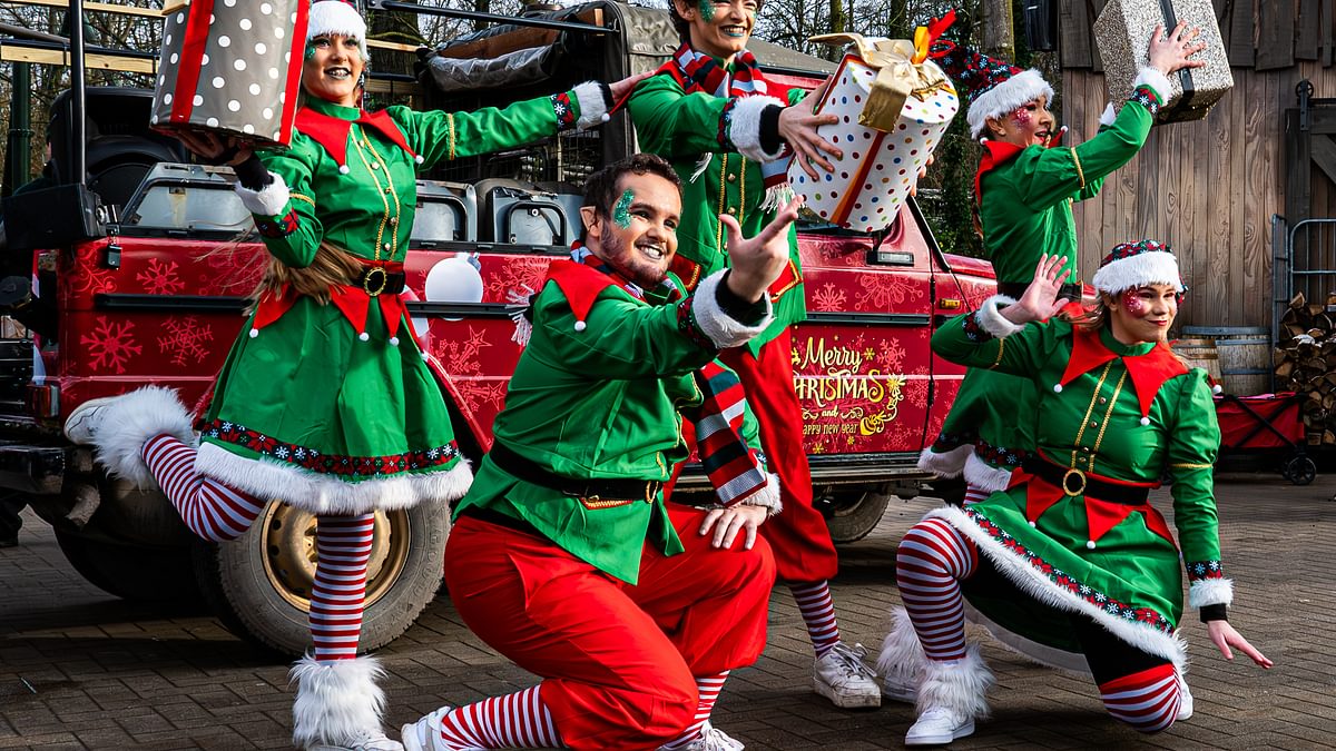 Bellewaerde Elfen 30 december svanwilde gmail com 3